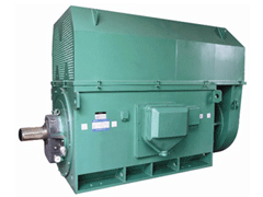 石龙Y系列6KV高压电机